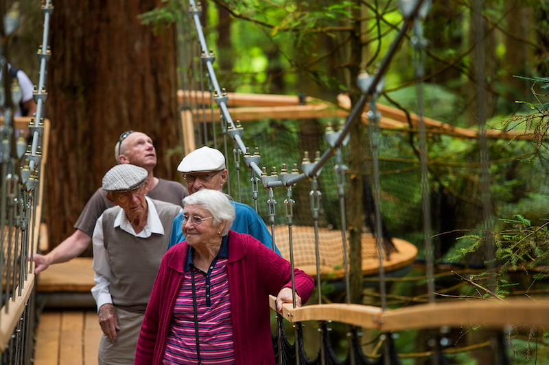 Yonder for High Ropes and Adventure Parks