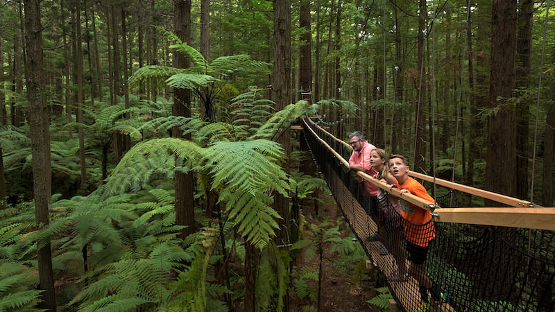 Treewalks and walking at heights, powered by Yonder's AI